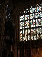 2006-0609-1159-45.jpg